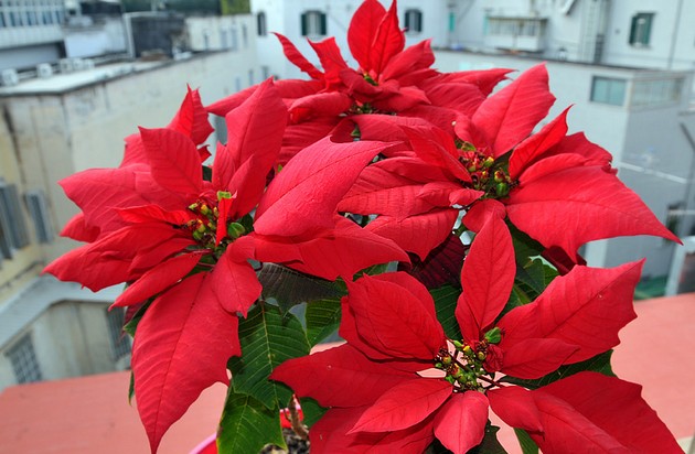 ���������� � ��������