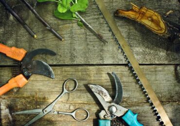 Инструменты для обрезки деревьев и кустарников: как выбрать