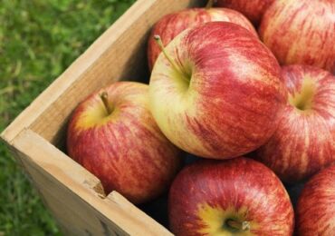 Как сохранить яблоки в квартире