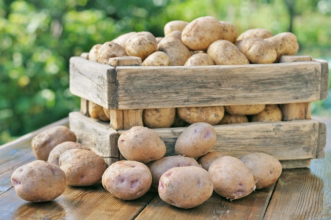 Как сохранить картофель в квартире