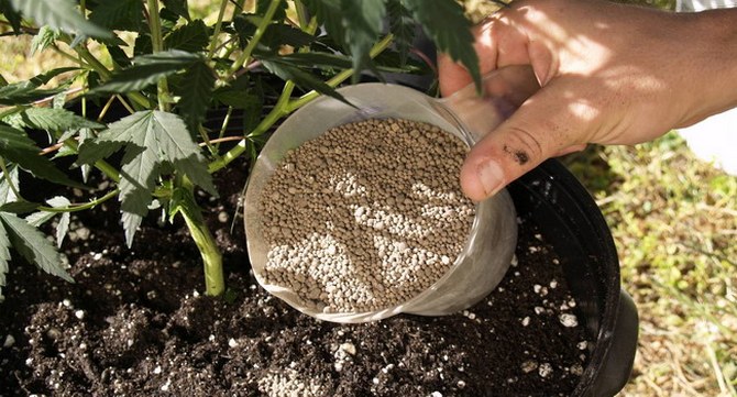 Это удобрение максимально легко растворяется в воде, поэтому может быть использовано как в виде раствора для корневых подкормок, так и для рассыпания на поверхности почвы.